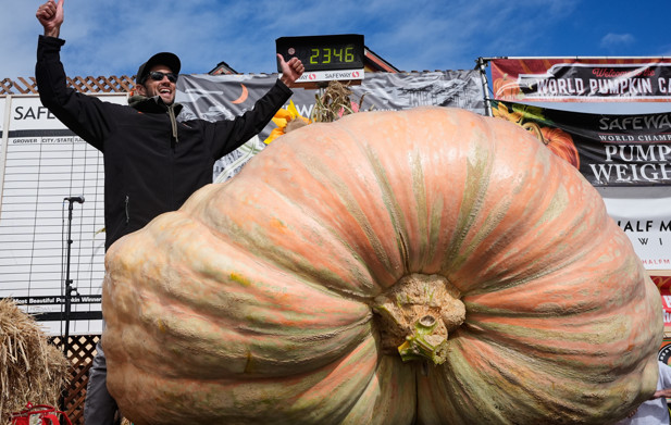 ३,१५६ पाउन्डको फर्सीले विश्व कीर्तिमान बनाउने सम्भावना
